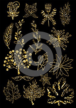 Set of vintage floral elements. Vector decoration collection. Hand drawn flowers, leaves and page decor.