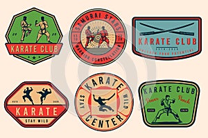 Set of vintage karate or martial arts logo, emblems, icons, and labels.