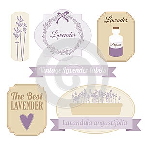 Set of vintage labels with lavender,