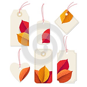 Set of vintage paper price, gift tags, labels with red ropes isolated on white background. Autumn, fall, Thanksgiving