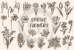Set of vintage spring flowers