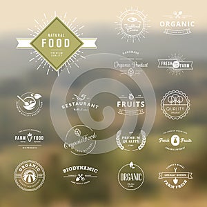 Set of vintage style elements for labels and badges for natural food and drink