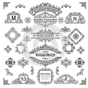 Set of vintage vector line elements