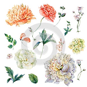 Set of vintage watercolor peonies and wildflowers