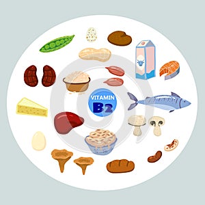 Set of Vitamin B2 origin natural sources. Healthy diary rich food containing riboflavin, cheese, mushrooms, nuts, fish