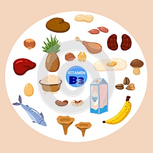 Set of Vitamin B3 origin natural sources. Healthy diary rich food containing niacin, avocado, mushrooms, nuts, fish