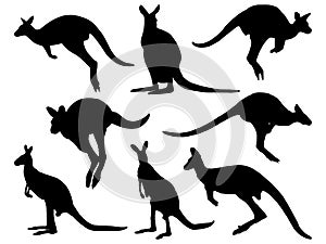 Set of Wallaby Silhouette vector art