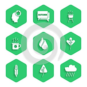 Set Water drop, Leaf or leaves, Cloud with rain, Corn, Cup of tea, Barbecue grill and Human head leaf icon. Vector