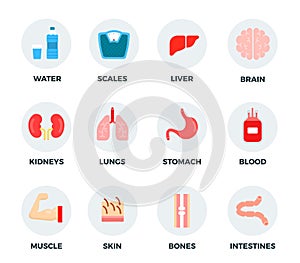 Set of water, weights and human body parts vector illustration in a flat design.