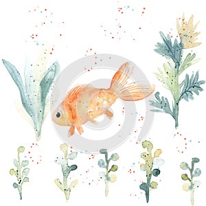 Set of watercolor aquarium plants and goldfish isolated on white background. Cartoon underwater herb, grass for fish