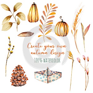 Set of watercolor autumn elements: pumpkins, fir cones, wheat spikes, yellow leaves