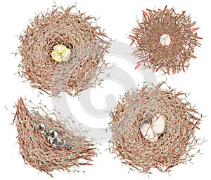 Set of the watercolor bird nests with eggs, hand drawn on a white background