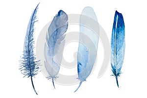 Set of watercolor blue feathers on white background. Bird`s feather. Variegated feather