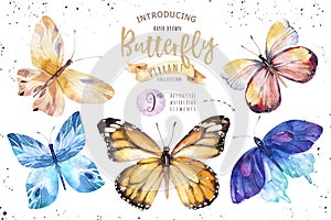 Set of watercolor boho butterfly. Vintage summer isolated spring art. Watercolour illustration. design wedding card