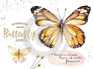 Set of watercolor boho butterfly. Vintage summer isolated spring art. Watercolour illustration. design wedding card