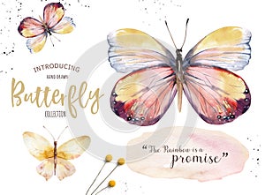 Set of watercolor boho butterfly. Vintage summer isolated spring art. Watercolour illustration. design wedding card