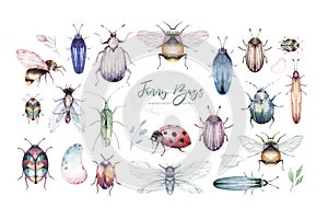 Set of watercolor bright beetles, bugs fly and bees. Isolated colorful cartoon buttle and bug. Insect set decoration