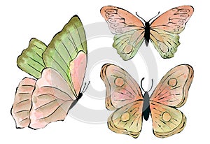 Set of watercolor Butterfly. Colorful Butterflies clipart. Hand drawn illustration for Baby shower, Wedding invitation