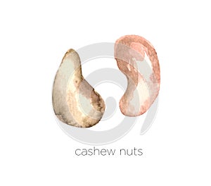 Set of watercolor cashew nuts hand painted isolated