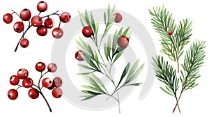 Set of watercolor Christmas tree branches with red berries. Hand drawn illustration Generative AI