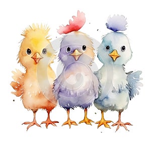 Set of watercolor cute chicks in yellow, purple and blue colors isolated on white background