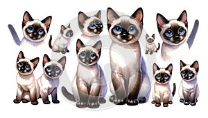 set of watercolor cute Siamese cat isolated on white background, generative ai