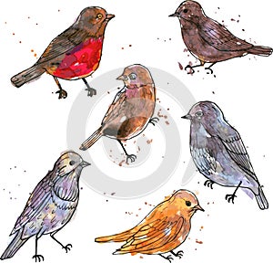 Set of watercolor drawing birds