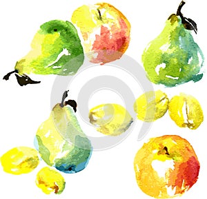 Set of watercolor drawing fruits