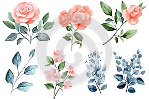Set watercolor elements of roses, hydrangea, collection garden pink flowers, leaves, branches, botanic illustration. Generative AI