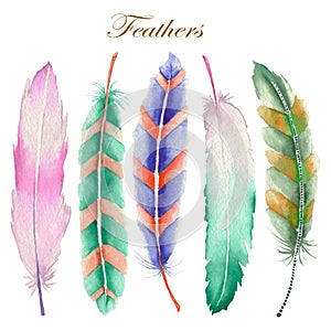 Set of watercolor feathers