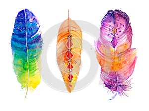 Set of watercolor feathers