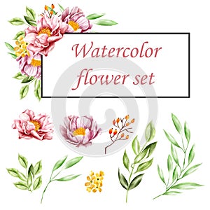 Set of watercolor floral, watercolor flower isolated