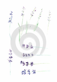 Set watercolor flowers background