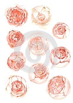 Set watercolor flowers background