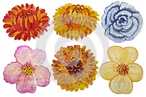 Set of watercolor flowers isolated on white background.