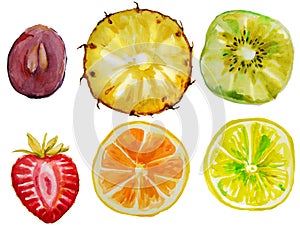 Set with watercolor fruits