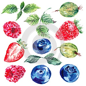 Set of watercolor fruits and berries isolated on a white