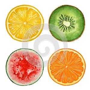 Set of watercolor fruits and watermelon, paint texture, vector