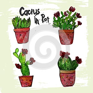 Set of watercolor green Succulents with red