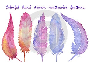 Set of watercolor hand drawn feathers