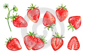 Set of watercolor hand drawn strawberry fruits.