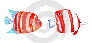 Set of watercolor illustrations of fish on a white background.