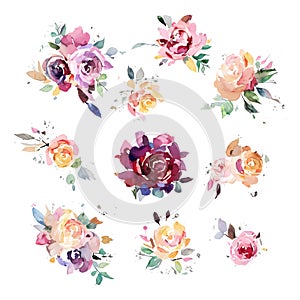 Set of watercolor illustrations vintage flowers roses, collection retro painting isolated white background