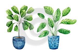 Set of watercolor indoor plants in blue pots isolated on white background