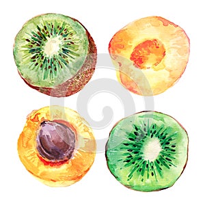 Set of watercolor kiwi fruit and apricots