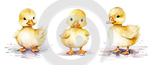 Set of watercolor little cute duckling isolated on white background