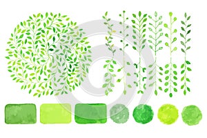 Set of watercolor logotypes. Green leaves, branches, plants