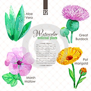 Set of watercolor madicinal plants