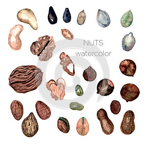 Set of watercolor nuts, hand painted isolated