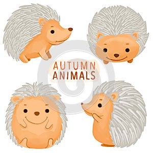 Set of watercolor painted Hedgehog, Autumn Animal, Wildlife clipart. Hand drawn isolated on white background.
